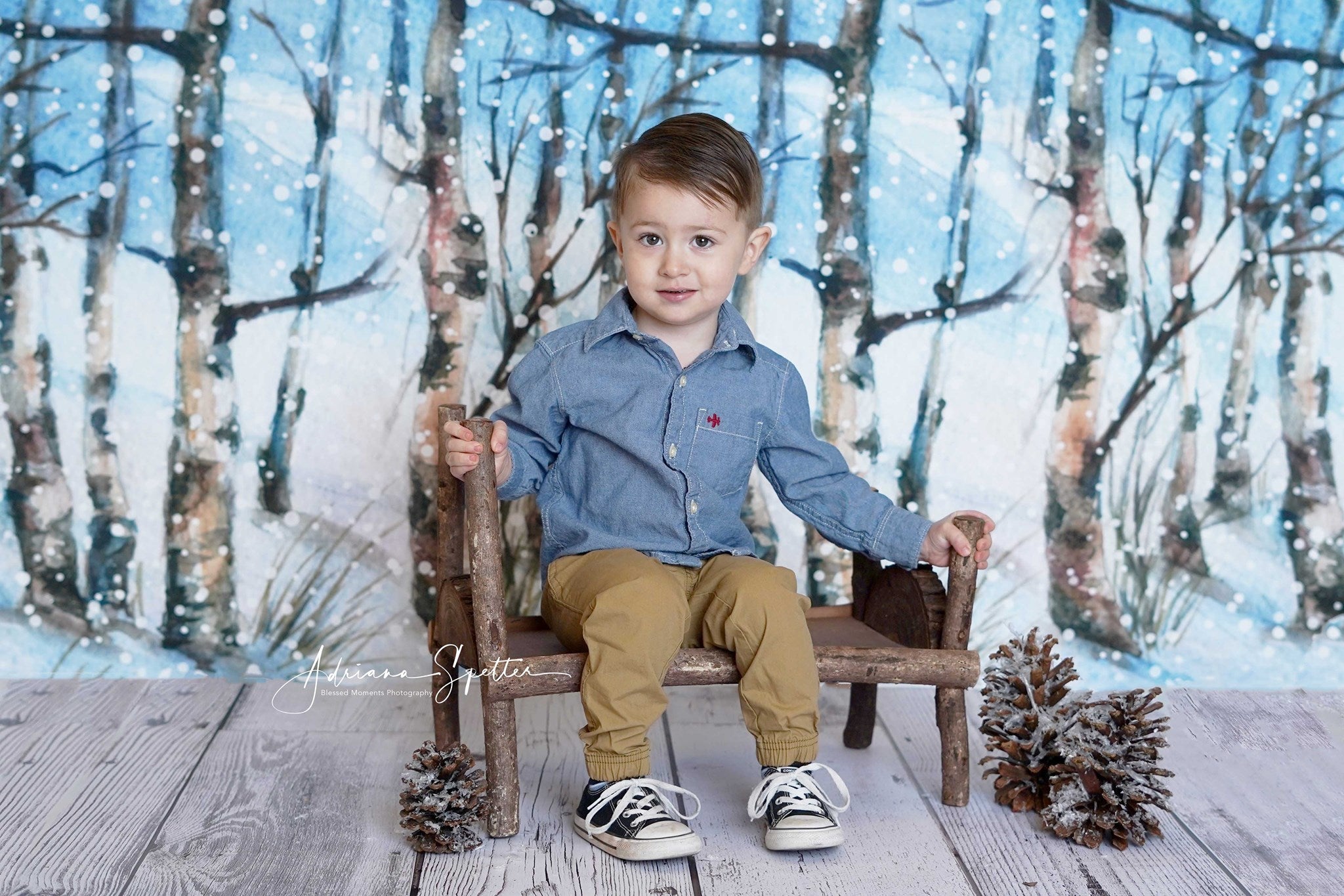 Winterwald-Hintergrund Verschneite Bäume Wunderwald-Hintergrund MRR10-35