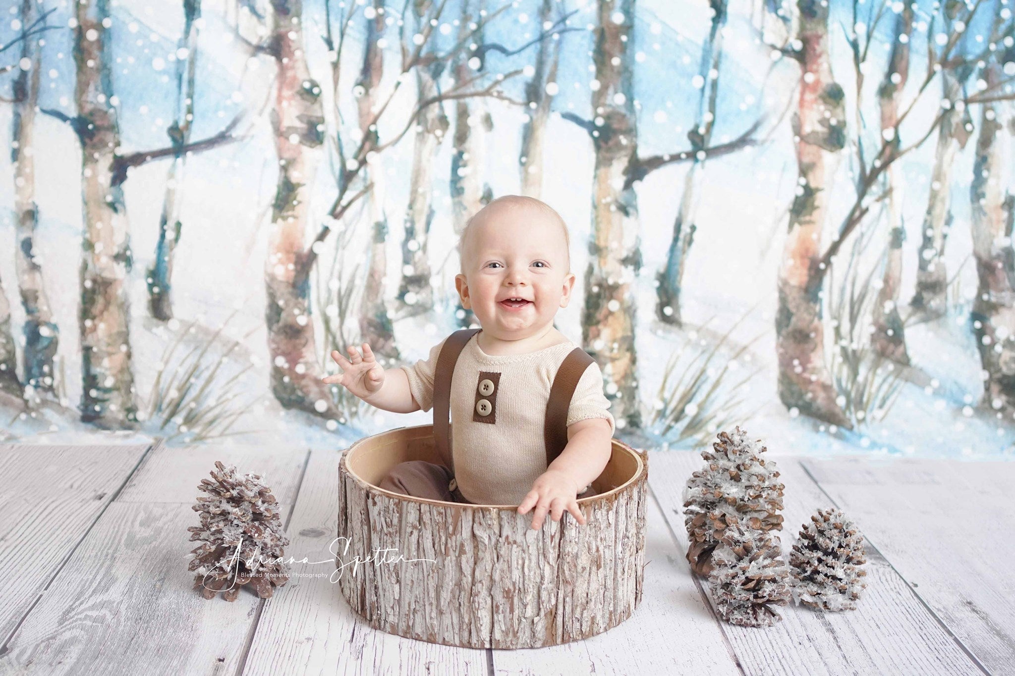 Winterwald-Hintergrund Verschneite Bäume Wunderwald-Hintergrund MRR10-35