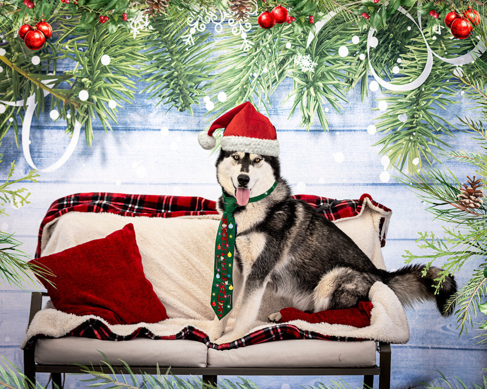 Weihnachtsschneeflocke Dekoration Holzwand Hintergrund für Fotografie G-519