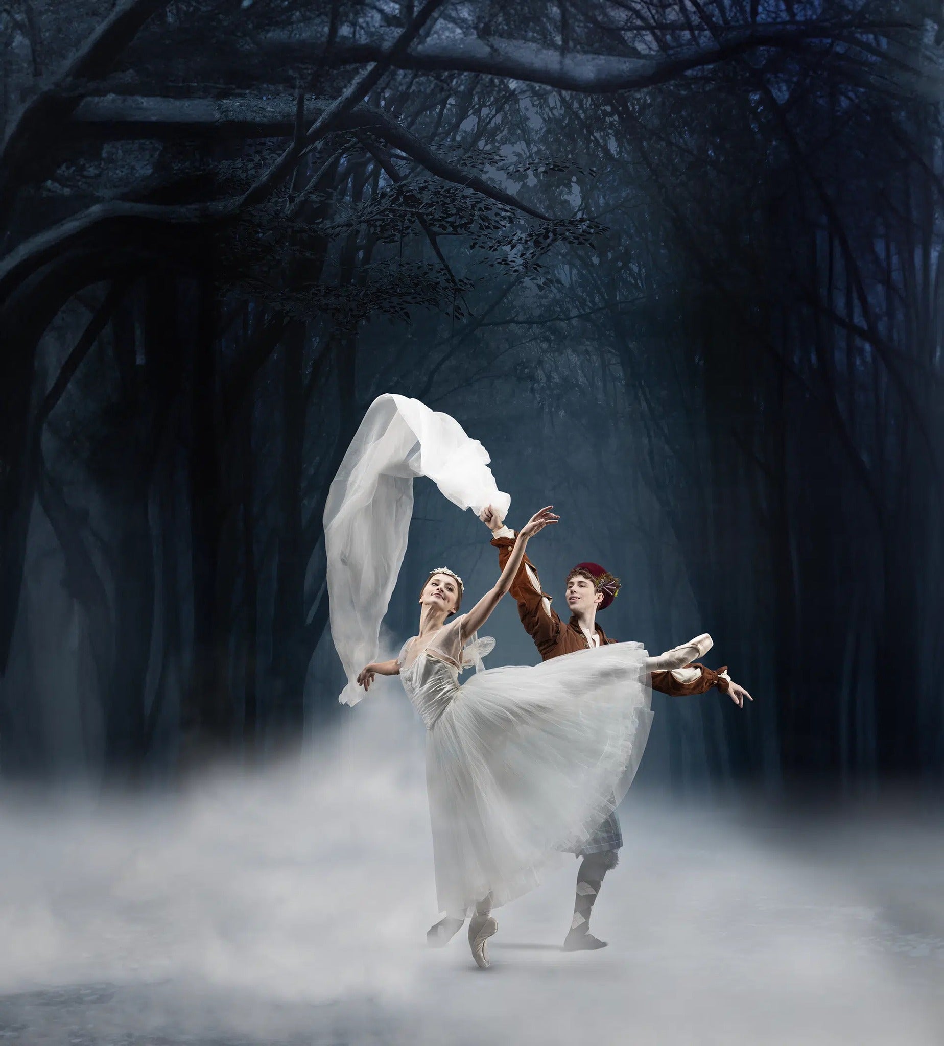 Nebelwald Halloween Fotografie Hintergrund M6-127