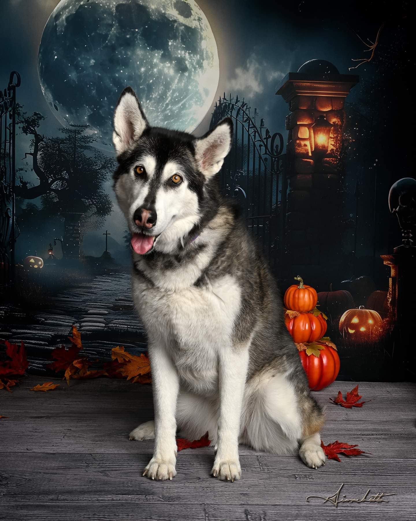 Halloween Dunkles Friedhofstor Skelett Fotokulisse RR7-455