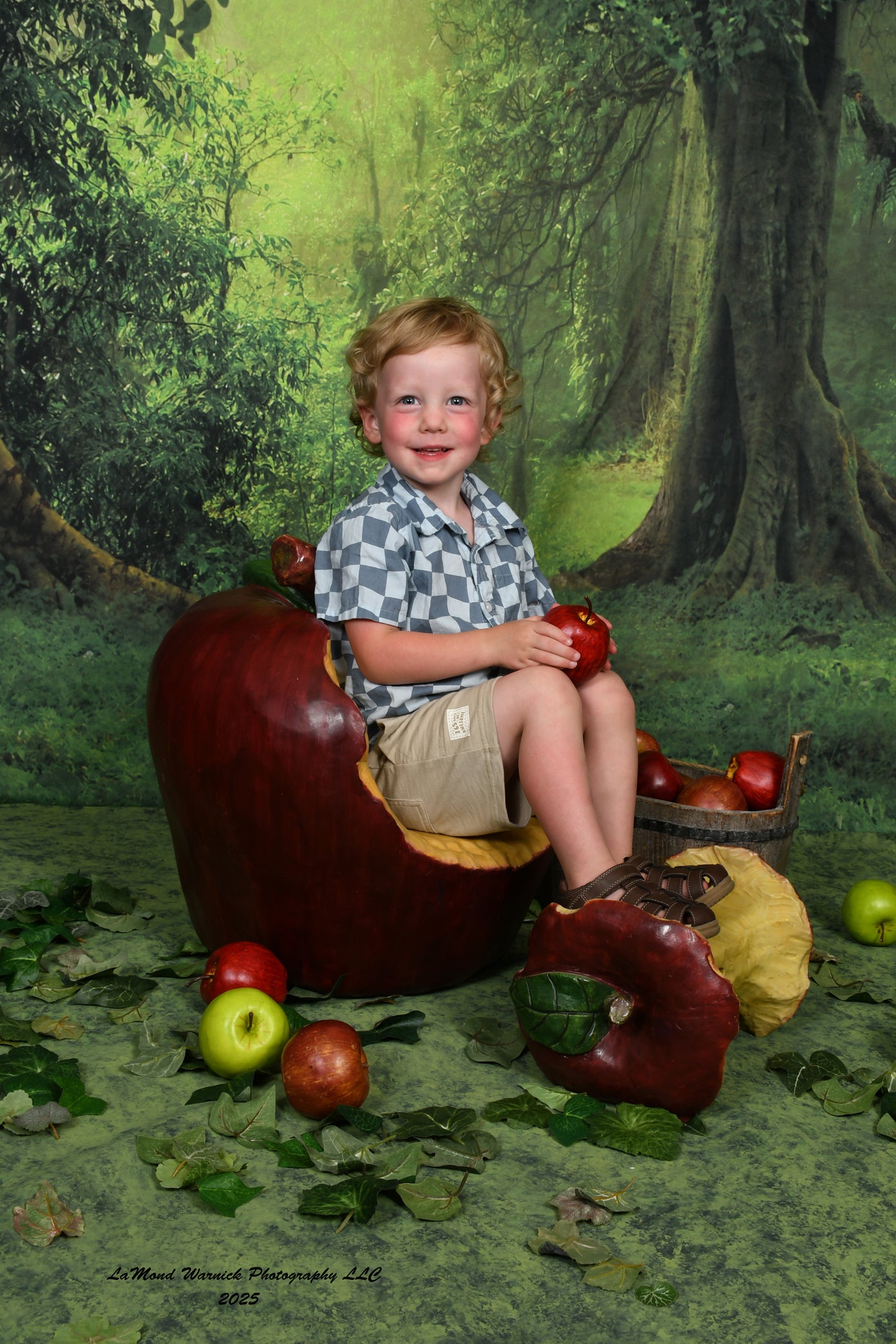 Grüner Hintergrund des großen Waldes des geheimen Waldes für Fotostudio LV-837