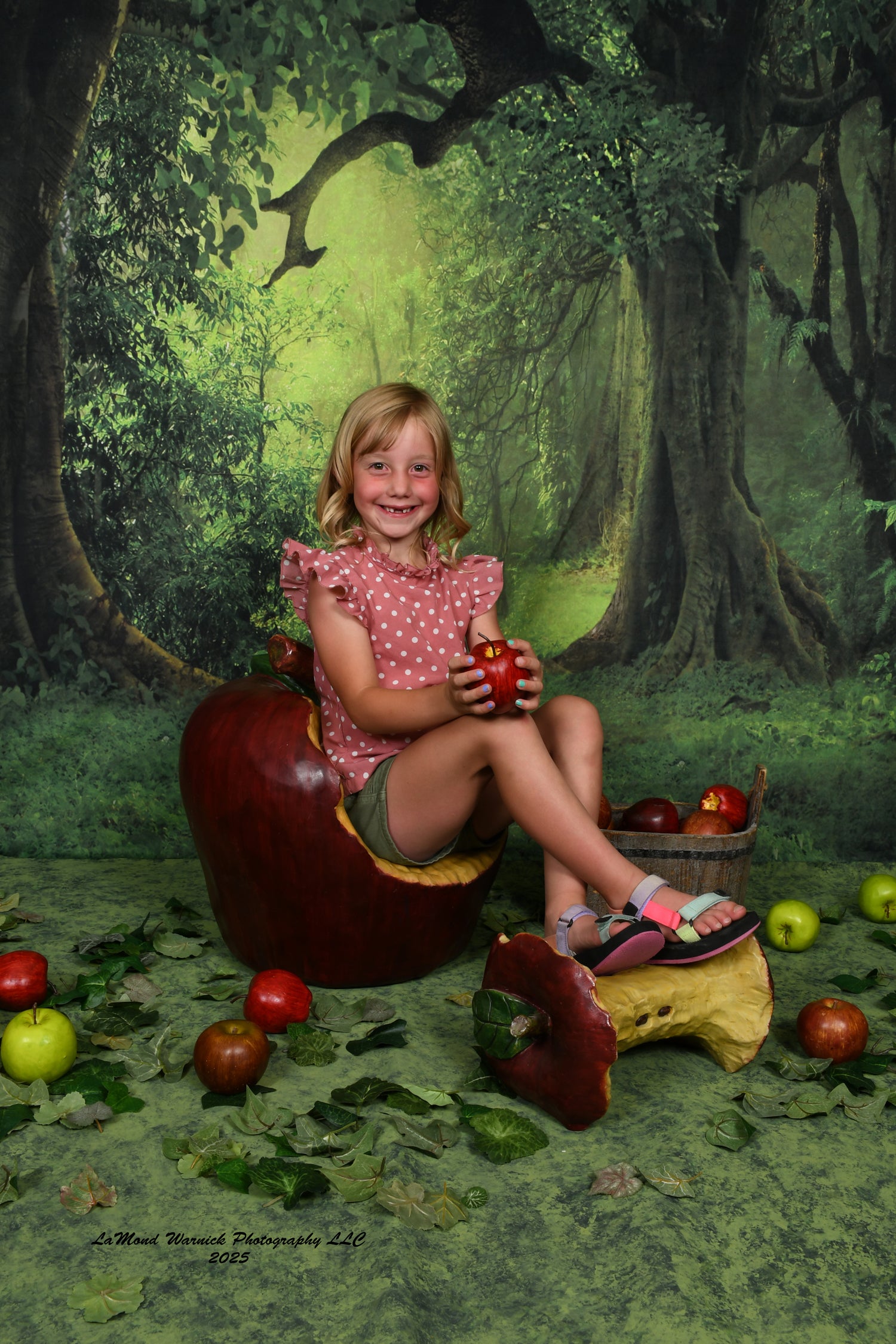 Grüner Hintergrund des großen Waldes des geheimen Waldes für Fotostudio LV-837