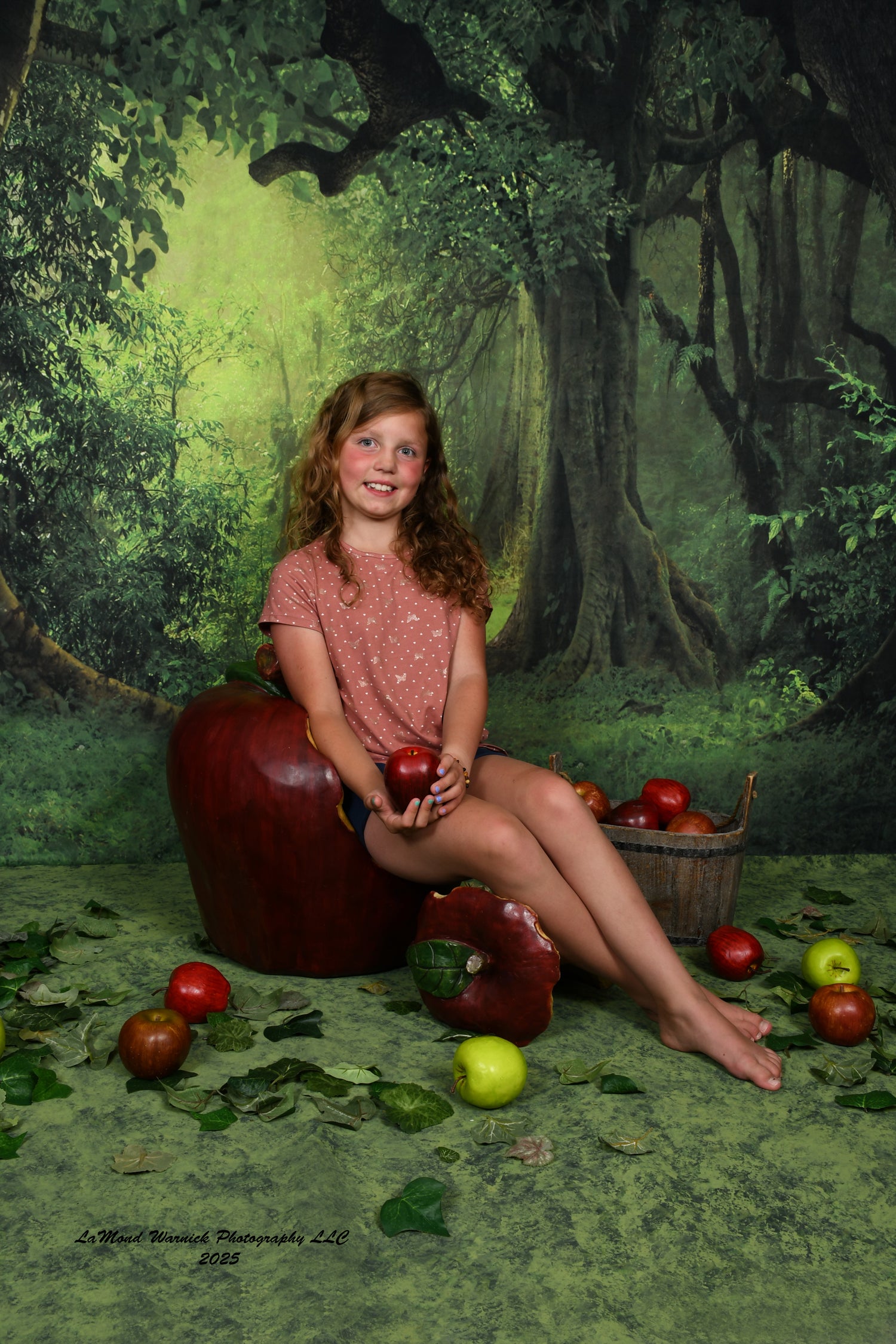 Grüner Hintergrund des großen Waldes des geheimen Waldes für Fotostudio LV-837