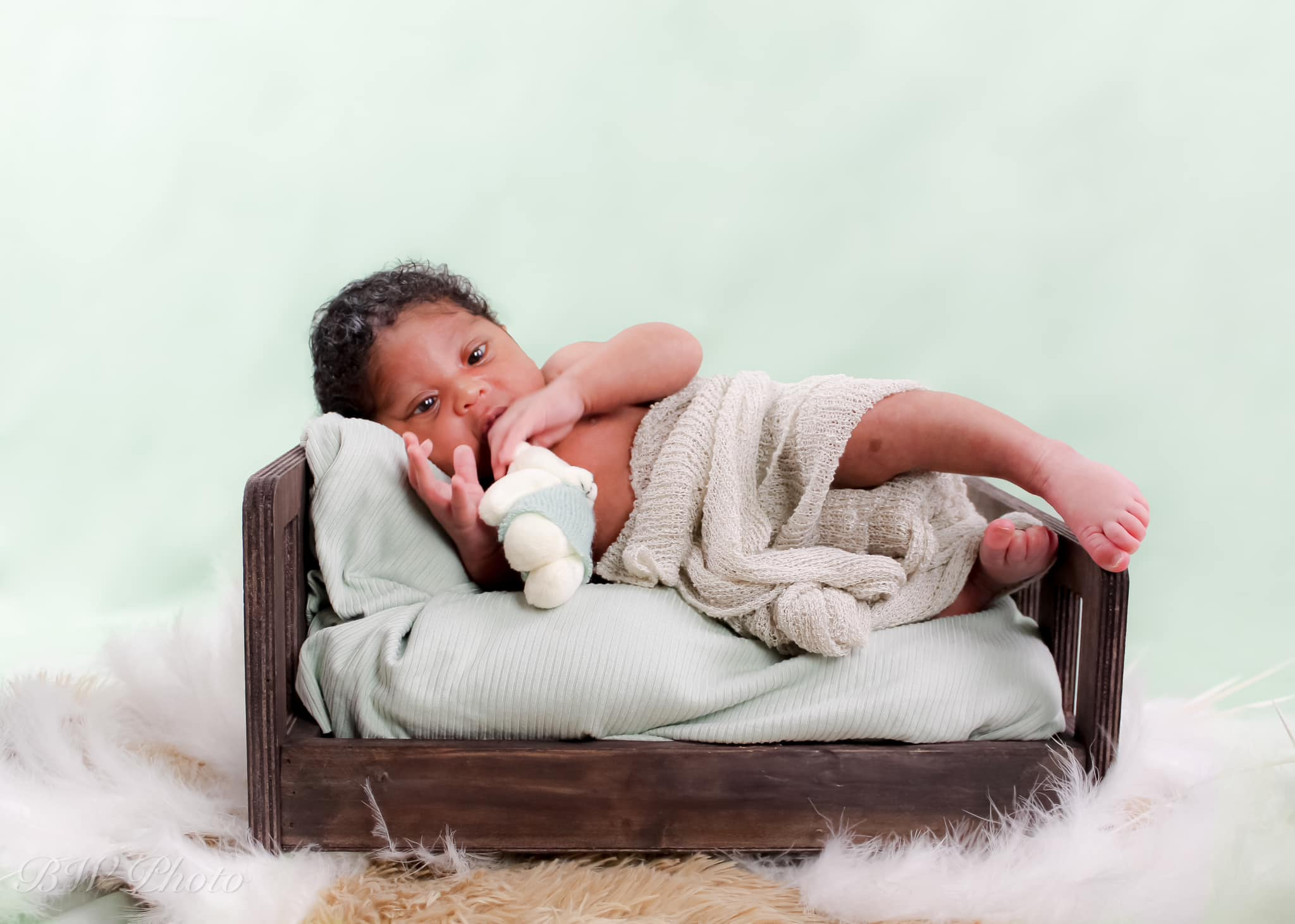 Einfarbiger staubiger Salbei-Fotografie-Hintergrund für Studio SC24