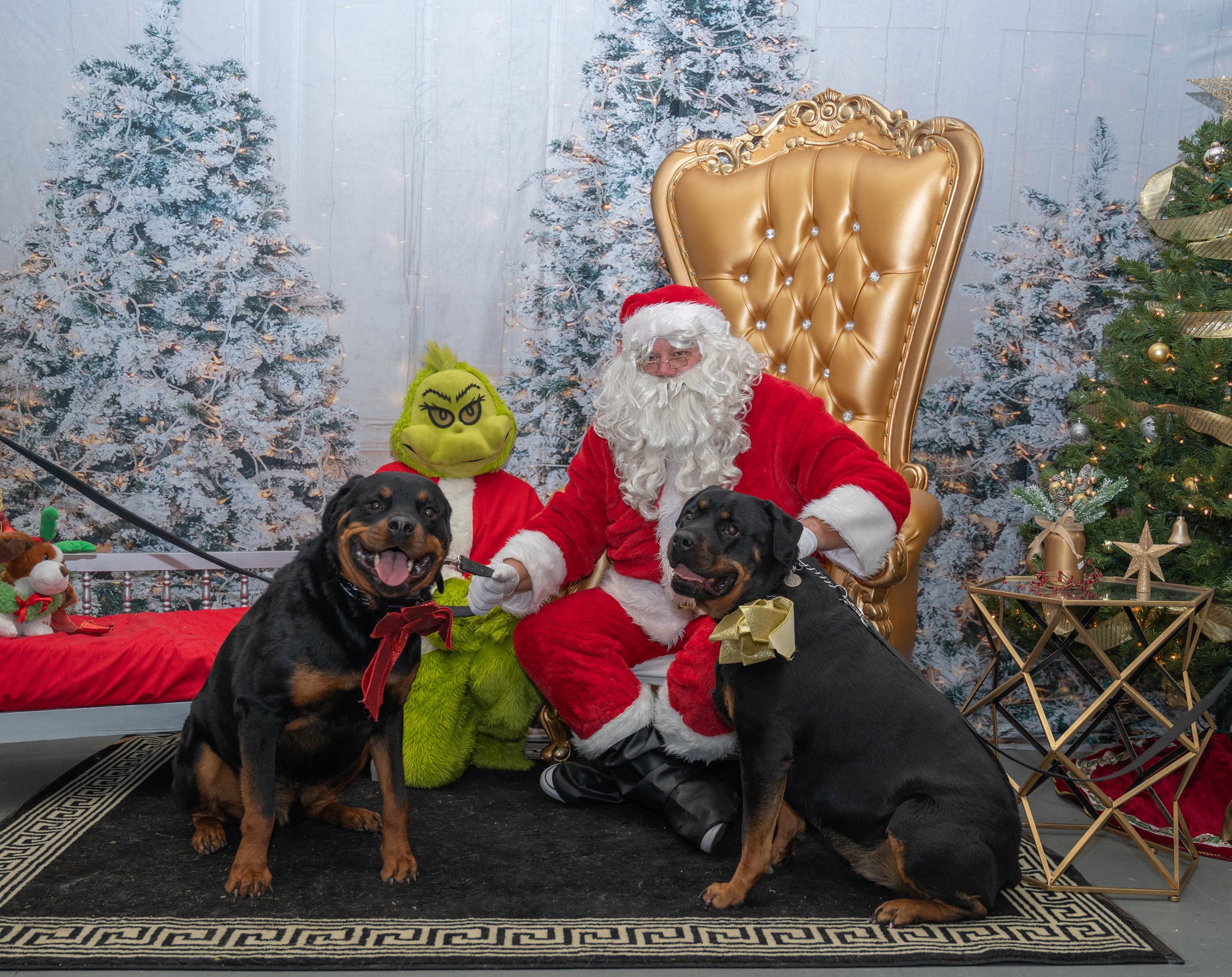 Glühender Weihnachtsbaum Fotostand-Hintergrund M9-16