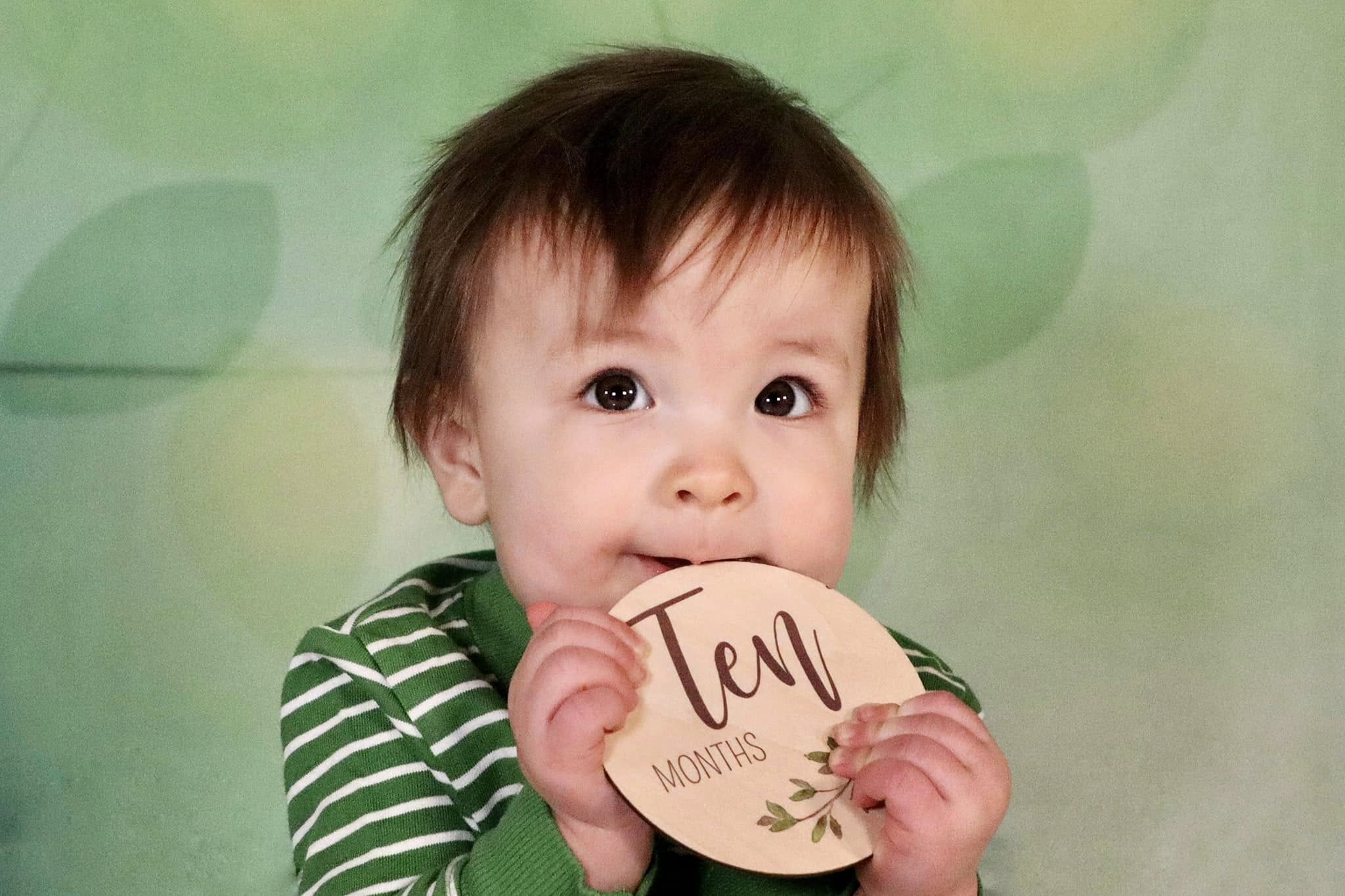 Frühlingsgrün Blätter Fotografie-Hintergrund LV-1926