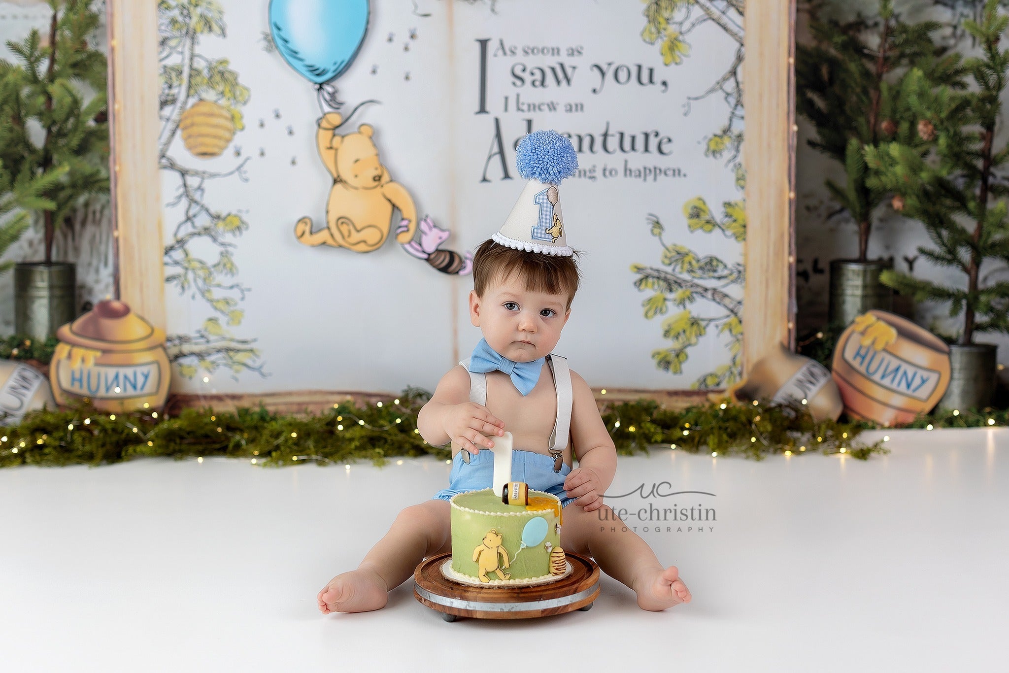 Cake Smash-Fotohintergrund Pooh-Ballon-Abenteuer Wald Zitat 1. Geburtstag-Fotohintergrund MRR9-63
