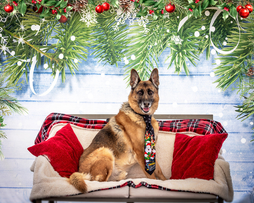 Weihnachtsschneeflocke Dekoration Holzwand Hintergrund für Fotografie G-519
