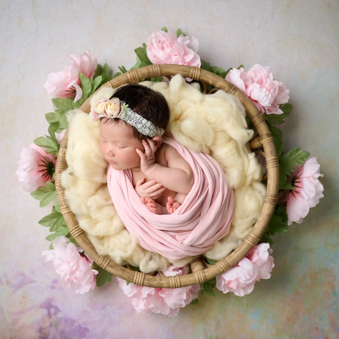 Braun Abstrakt Blume Portrait Fotografie Hintergrund für Studio F-2366