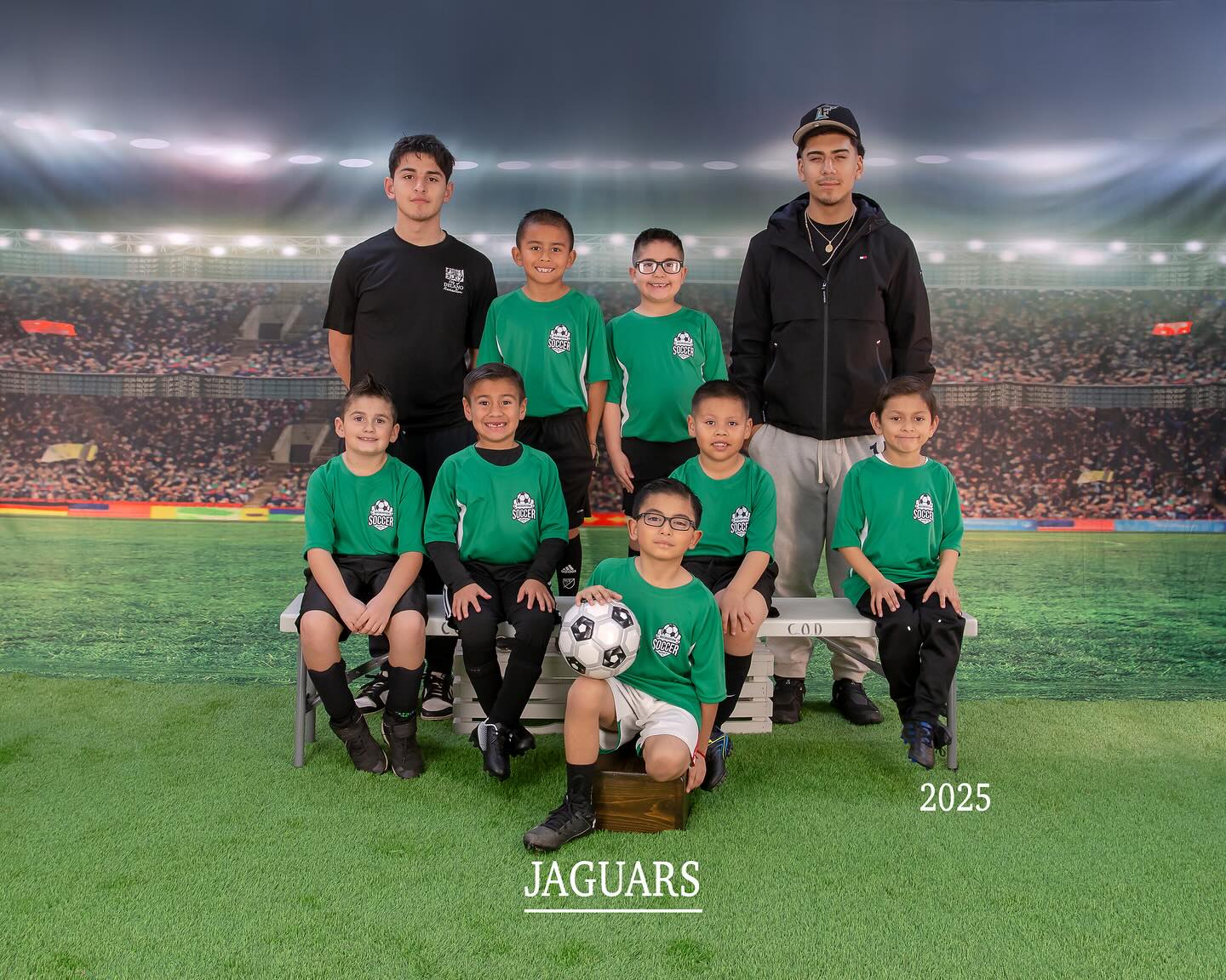 Fußballfeld Grüne Rasenlichter Sportfoto-Hintergründe G-264