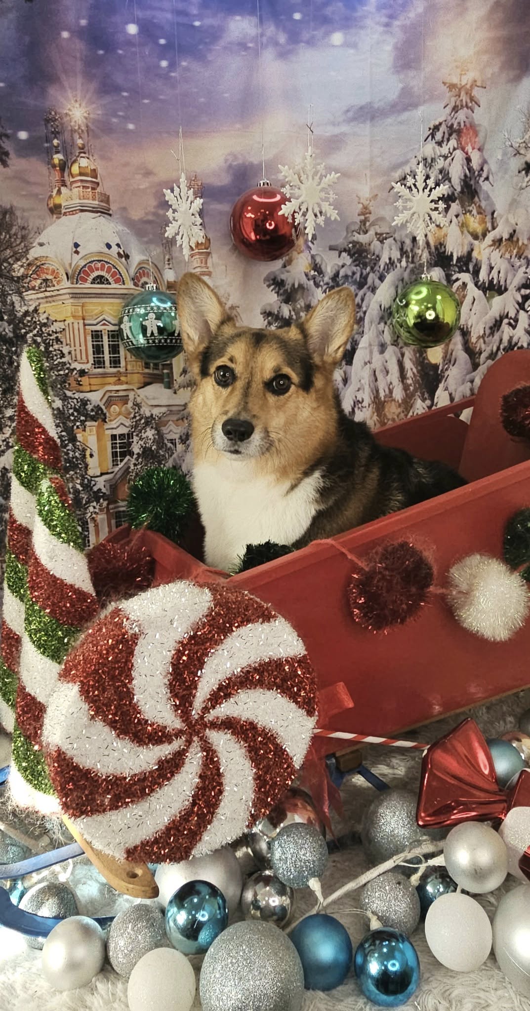 Winterschloss verschneite Straße Baum Fotokulisse M9-12