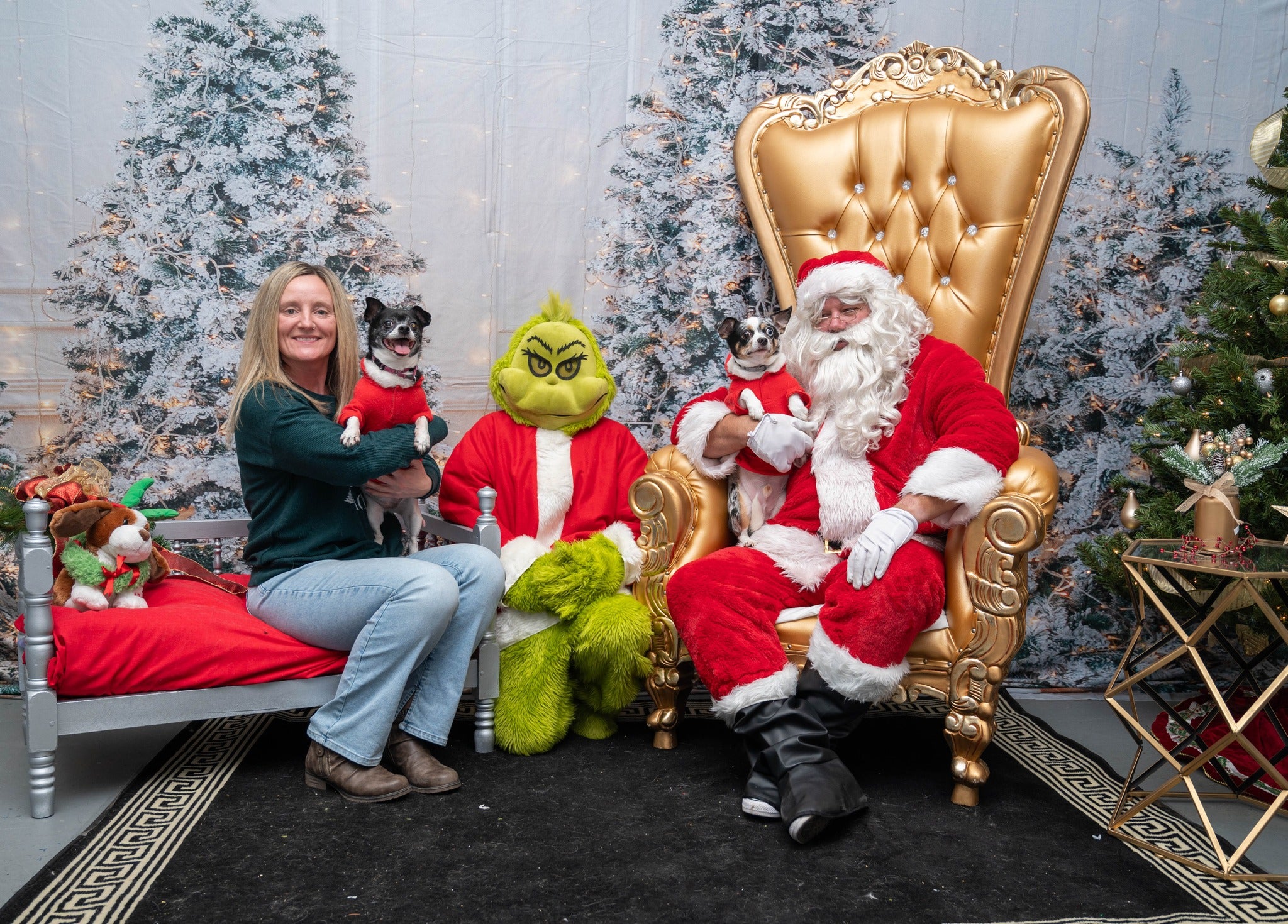 Glühender Weihnachtsbaum Fotostand-Hintergrund M9-16