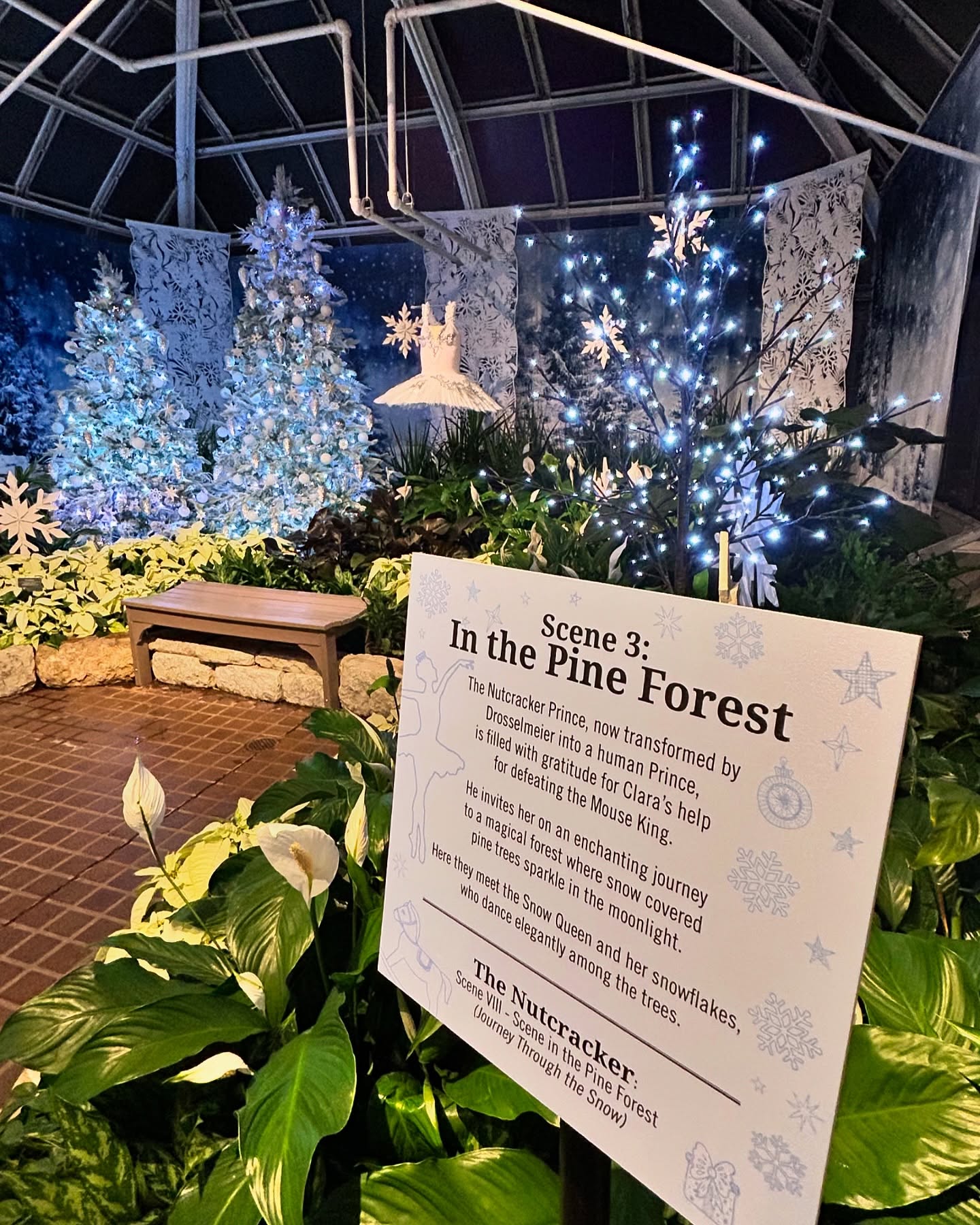Schnee Tannen Wald Hintergründe für Weihnachten GX-1075