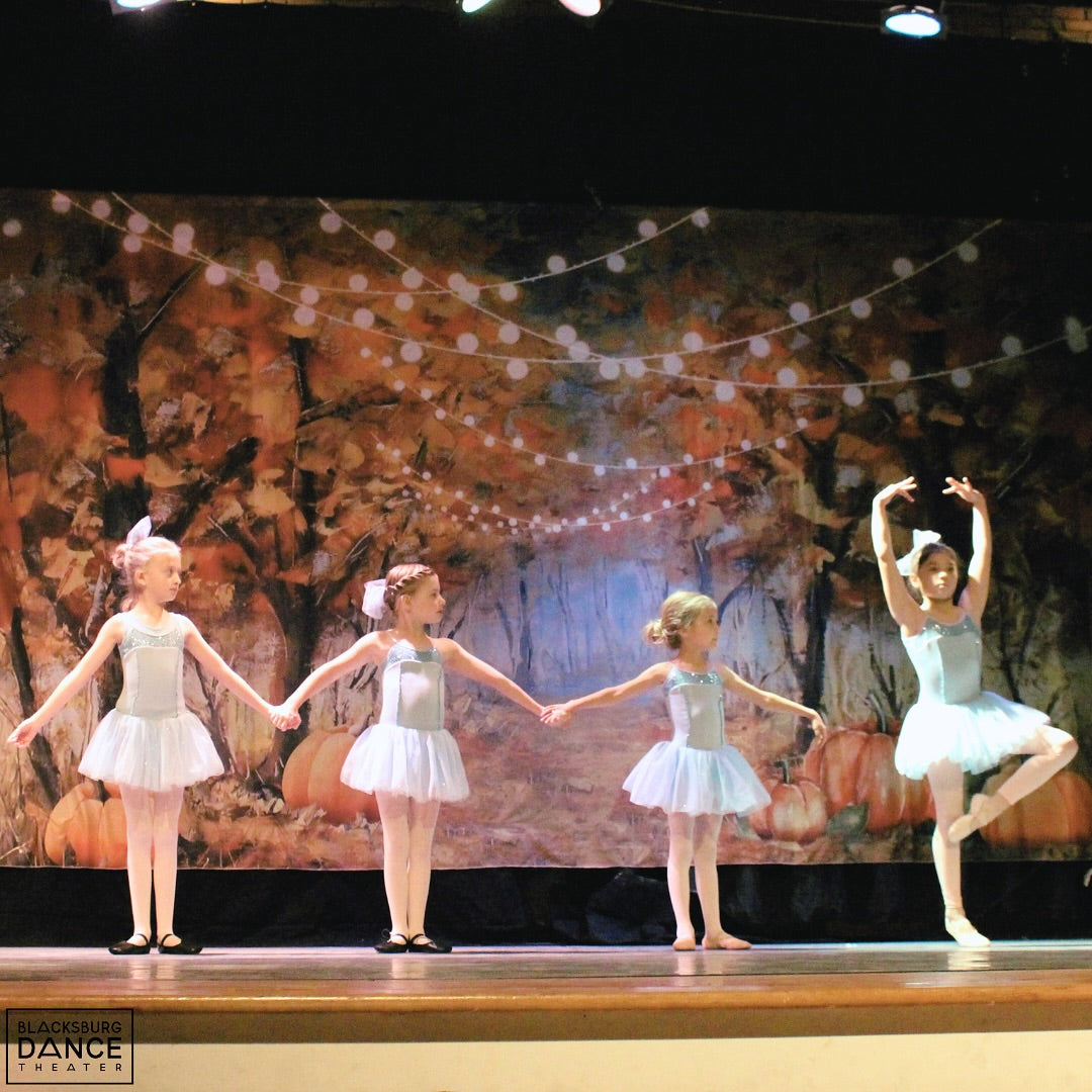 Herbst Kürbis Wald Fotokabinen Hintergrund D827