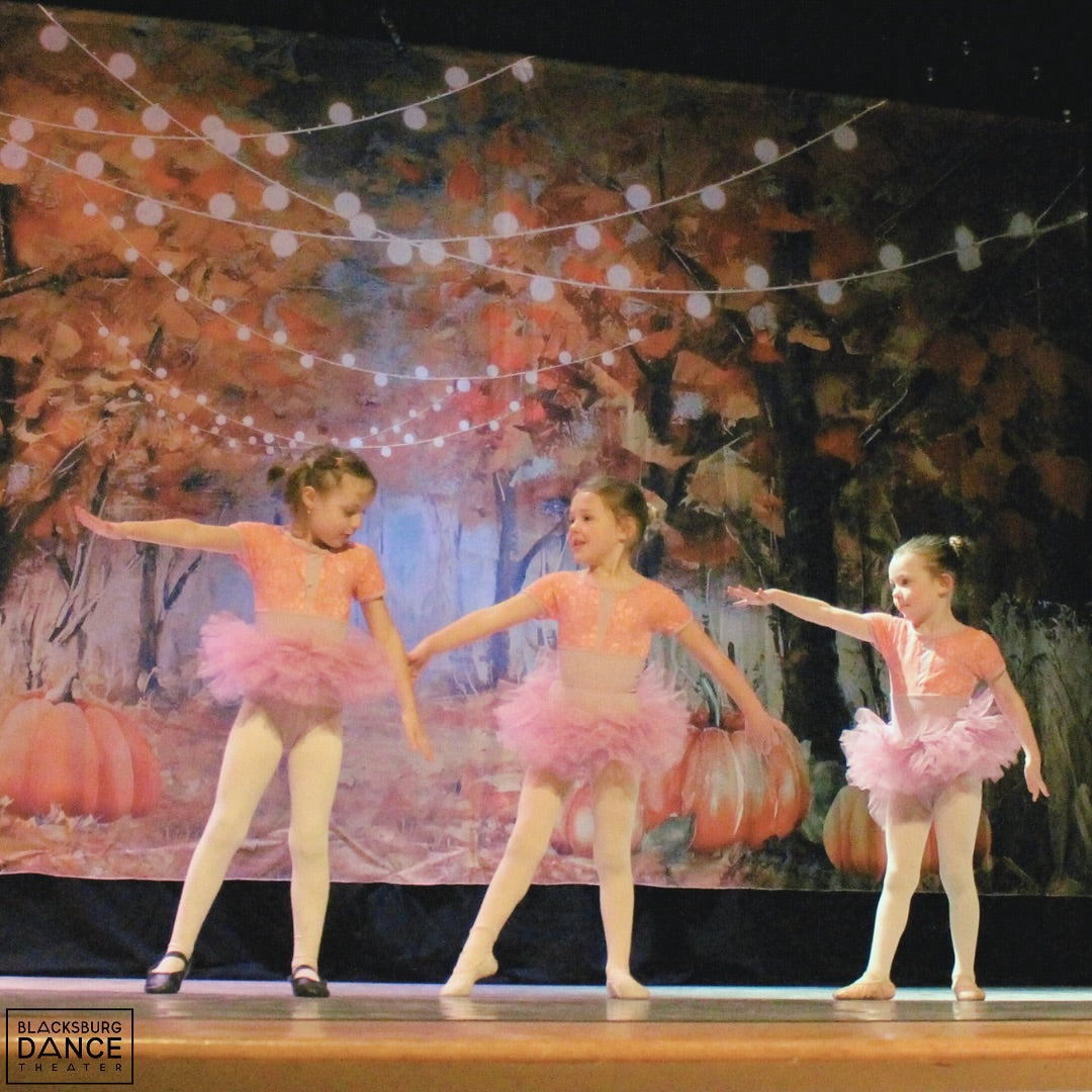 Herbst Kürbis Wald Fotokabinen Hintergrund D827