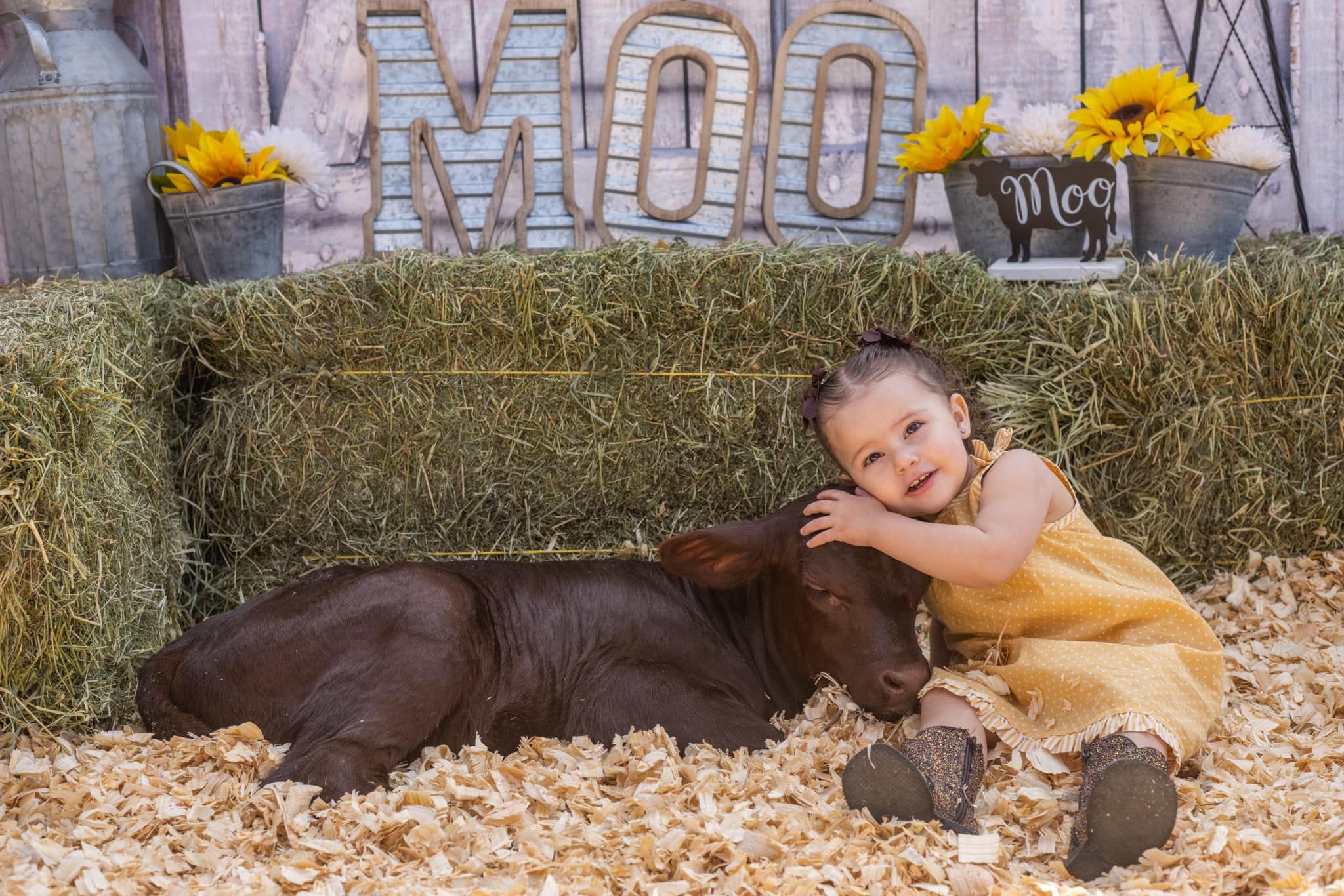 Retro Holz Scheunentor Hintergrund für Fotokabine GA-69
