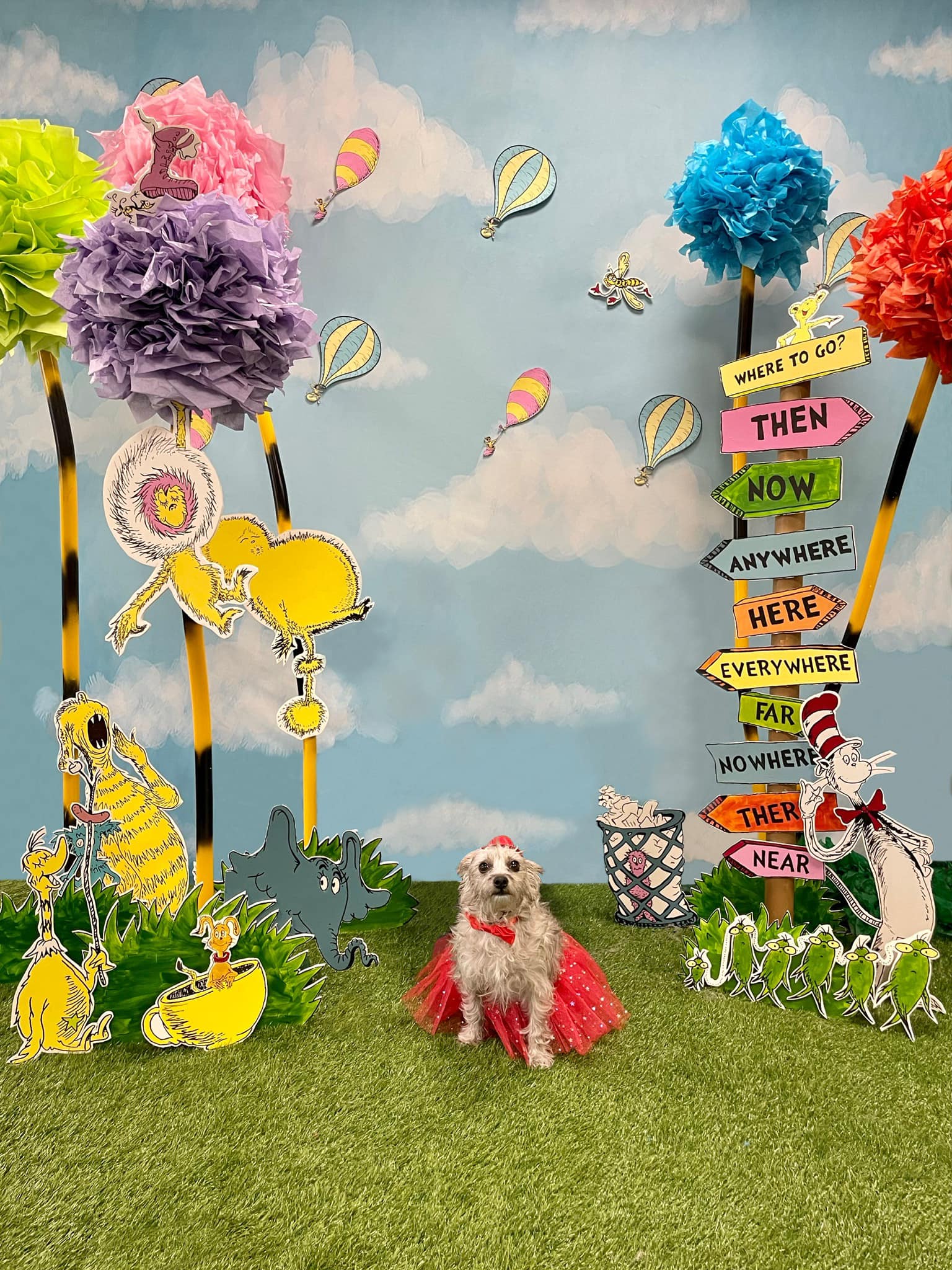 Schöner blauer Himmel und weiße Wolken Hintergrund für Neugeborenen Fotografie NB-367