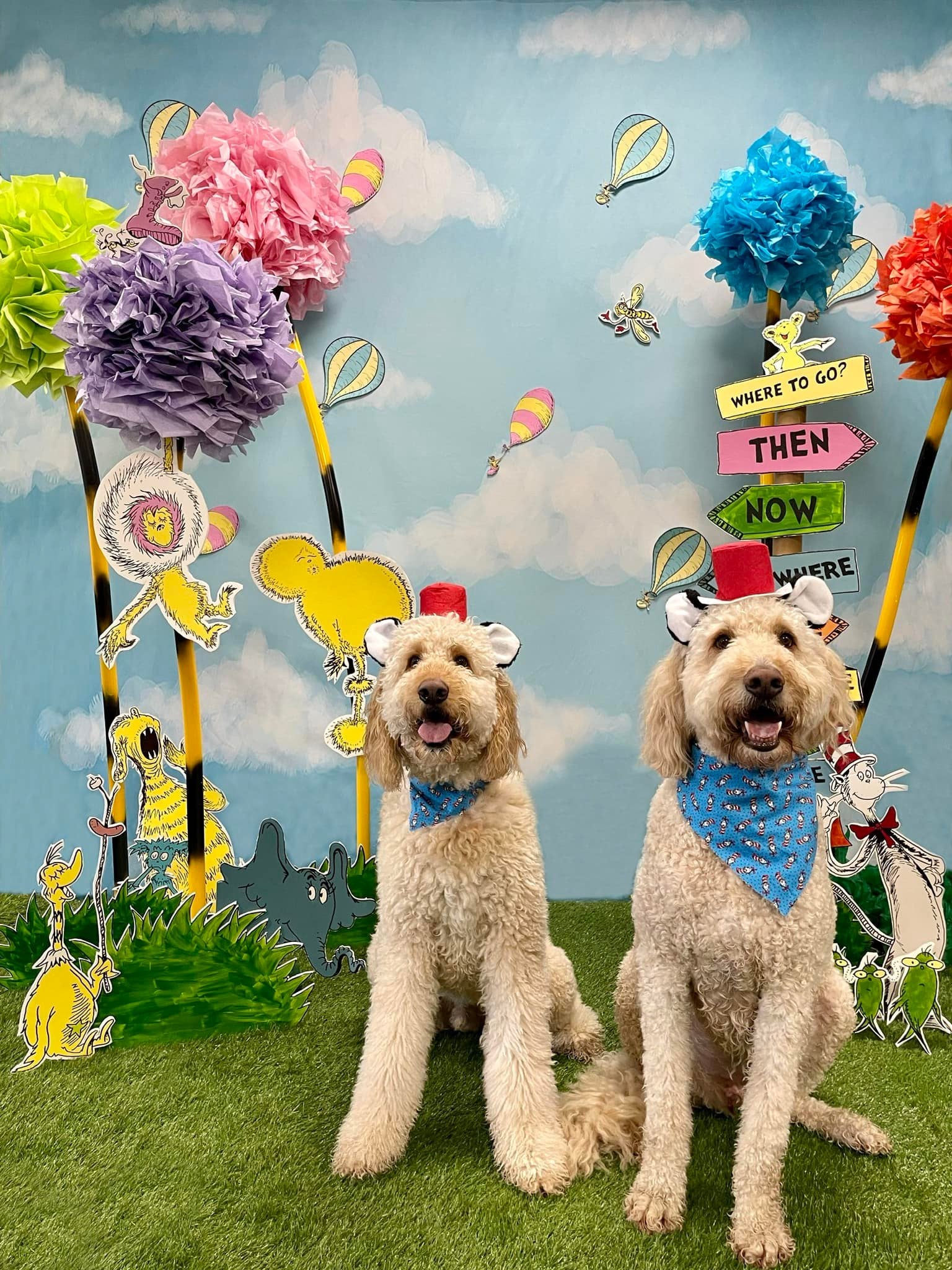 Schöner blauer Himmel und weiße Wolken Hintergrund für Neugeborenen Fotografie NB-367
