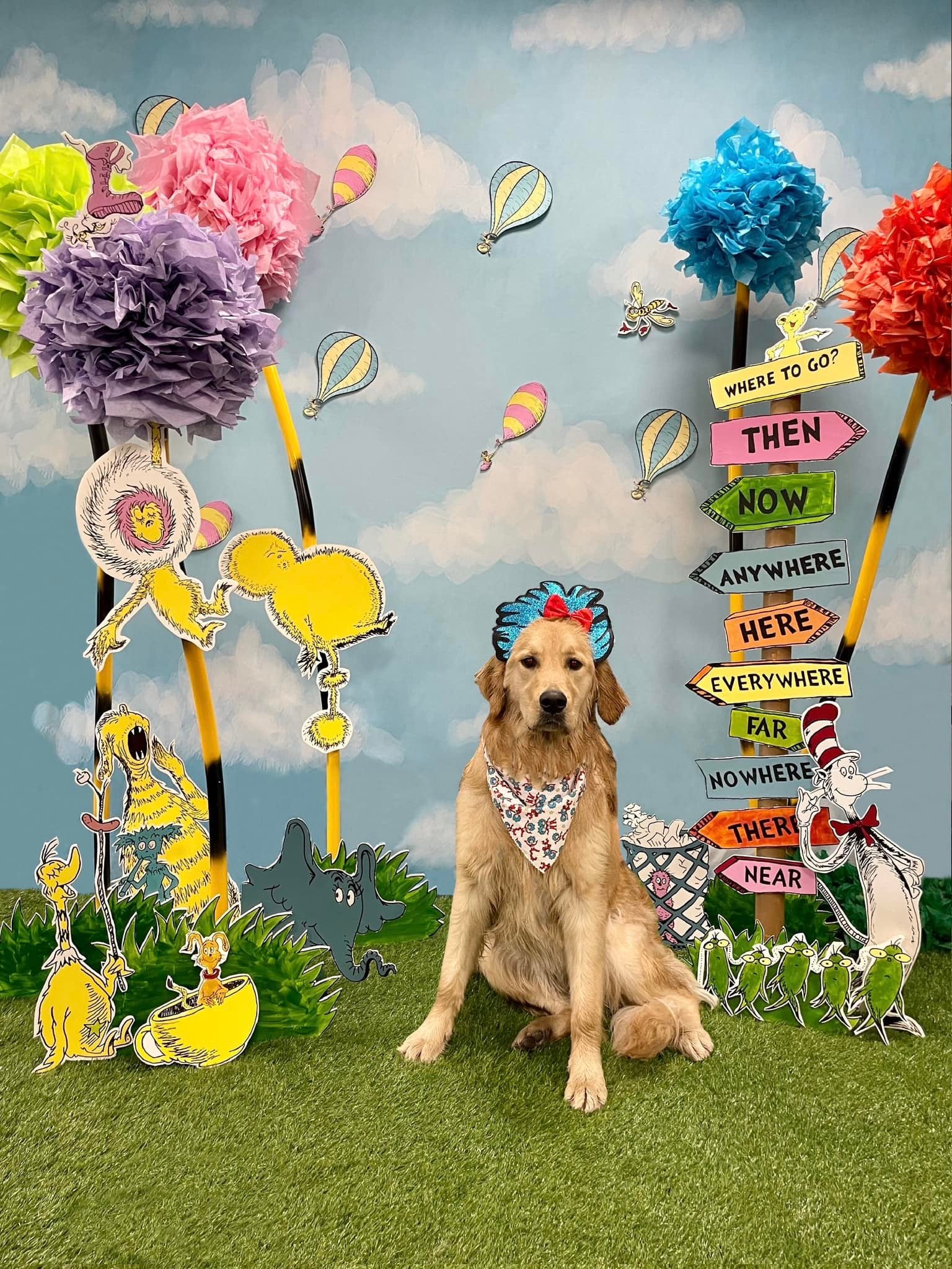 Schöner blauer Himmel und weiße Wolken Hintergrund für Neugeborenen Fotografie NB-367