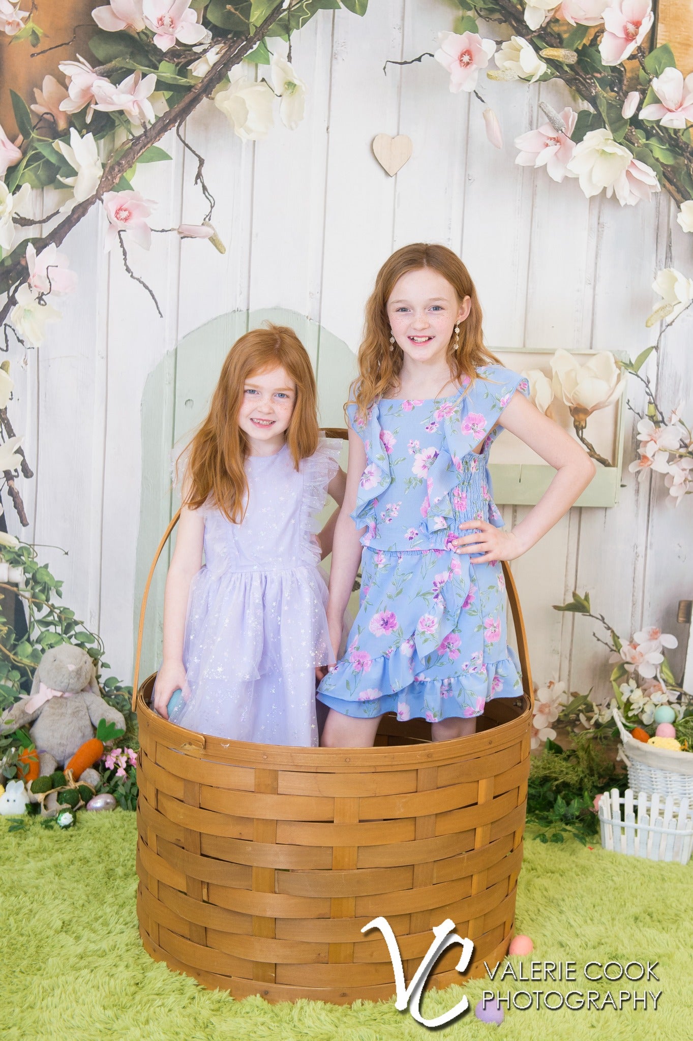 Rosa Blumen Rustikales Haus Frühlings Hintergrund D1055