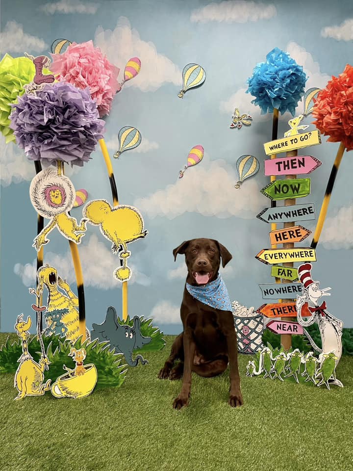 Schöner blauer Himmel und weiße Wolken Hintergrund für Neugeborenen Fotografie NB-367