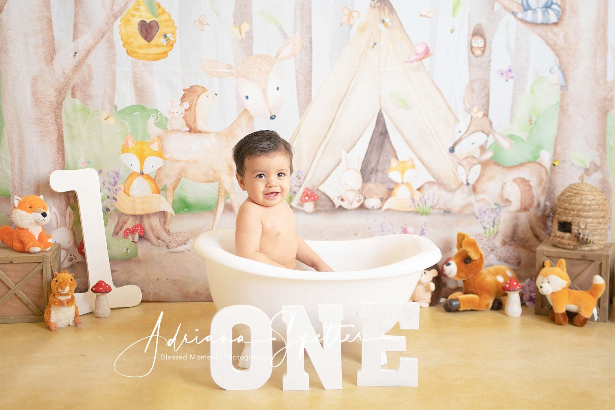 Wald-Hintergrund Tiere Zelt Bäume Neugeborenen-Fotografie-Hintergrund MRR10-29