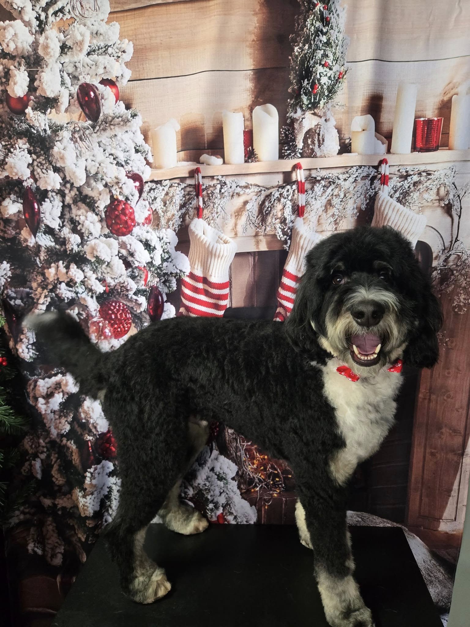 Weihnachtsbaum-Kamin-Dekoration-Hintergrund für Fotoshooting KAT-63