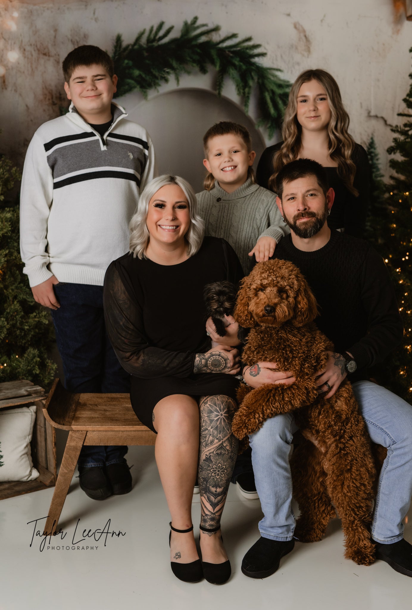 Weihnachtsbaum Bogen Foto Hintergrund RR8-347