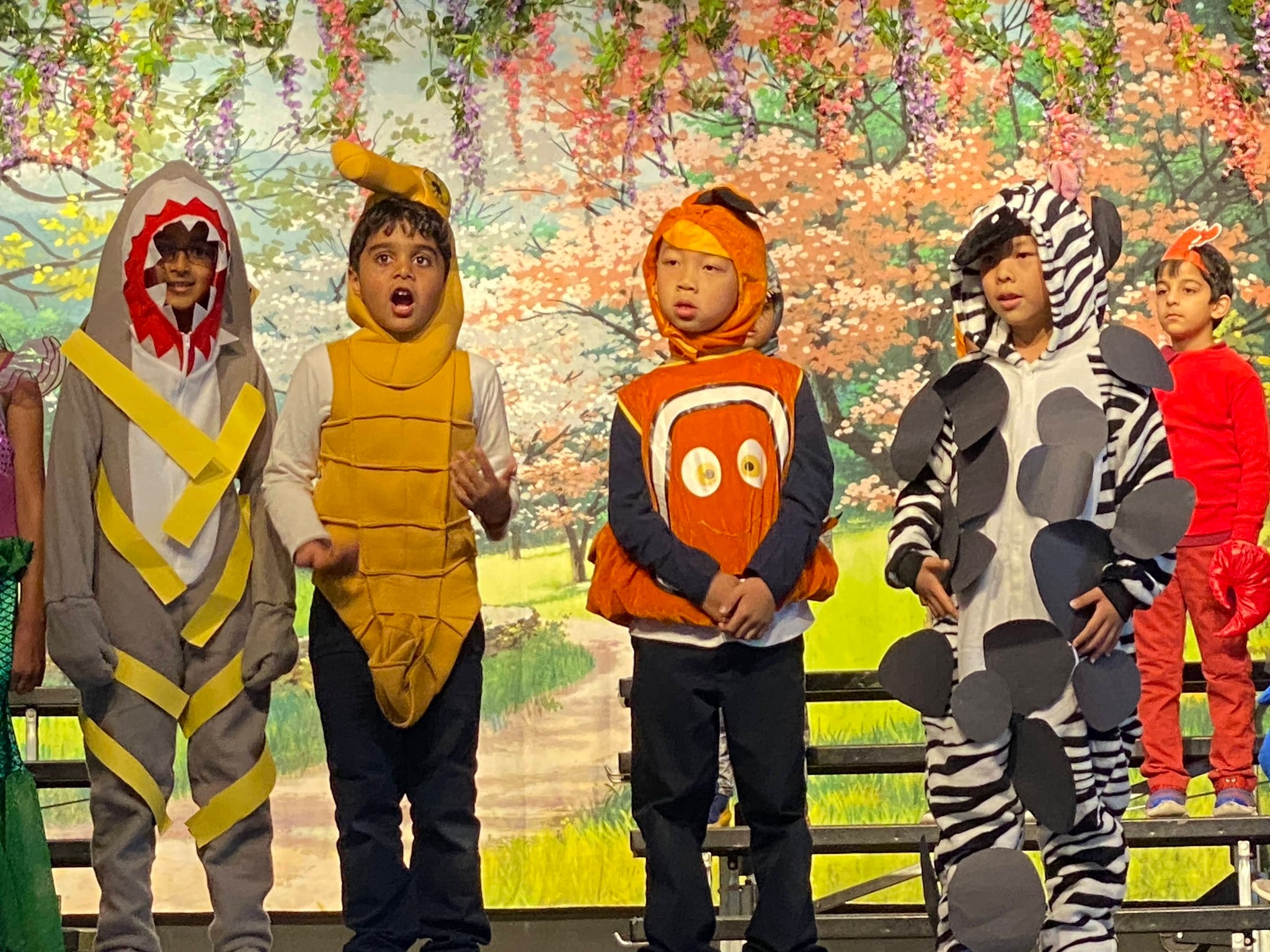 Frühlingsblumen Gebirgslandschaft Baclkdrop für Studio S-2741