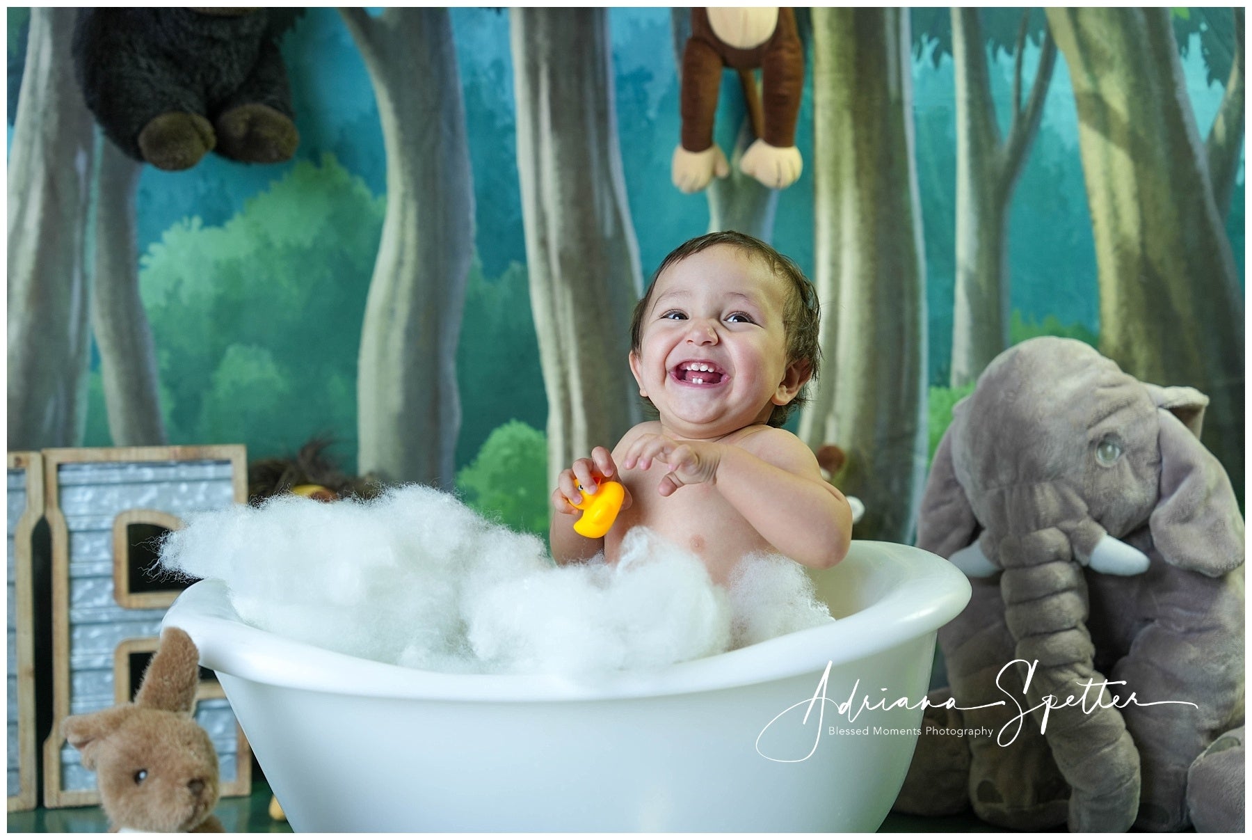 Neugeborenen-Hintergrund Verzauberter Wald Bäume Kinder-Fotohintergrund MRR10-24