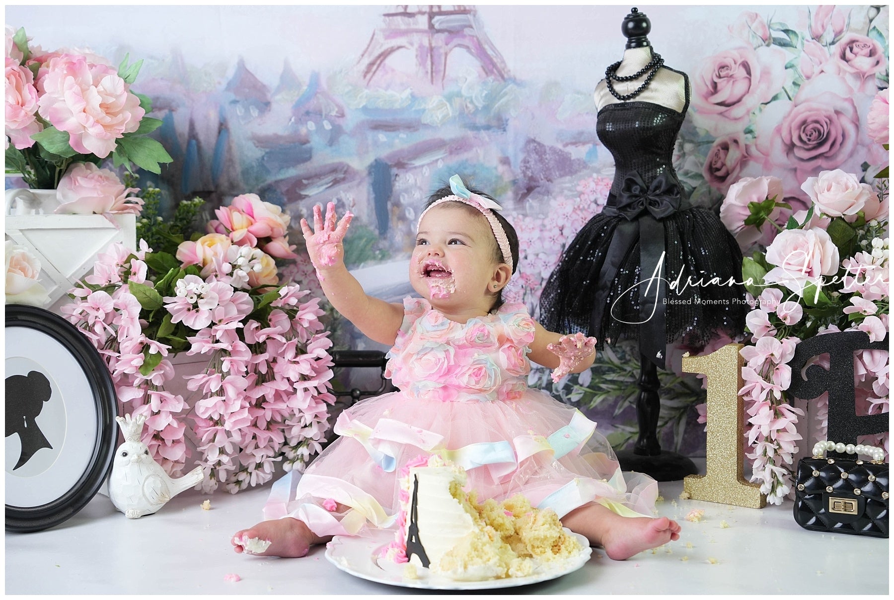 Cake Smash-Hintergrund Eiffelturm Frühlingsblumen-Geburtstag-Hintergrund MRR10-45