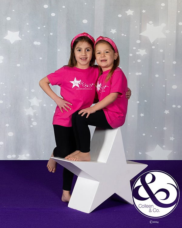 Glänzende graue Sterne Glitter Fotostudio Hintergrund GC-105