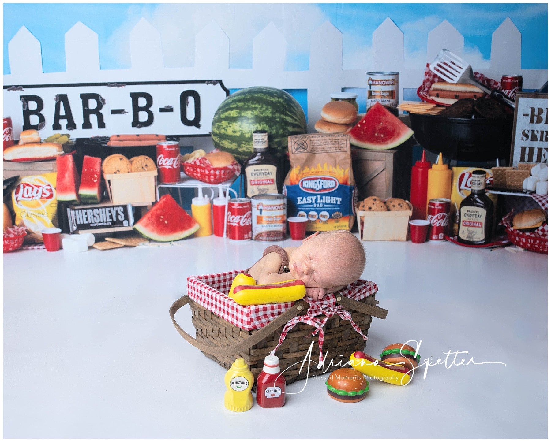 Neugeborenen-Hintergrund Grillparty Lichterketten Kinder-Hintergründe MRR10-22