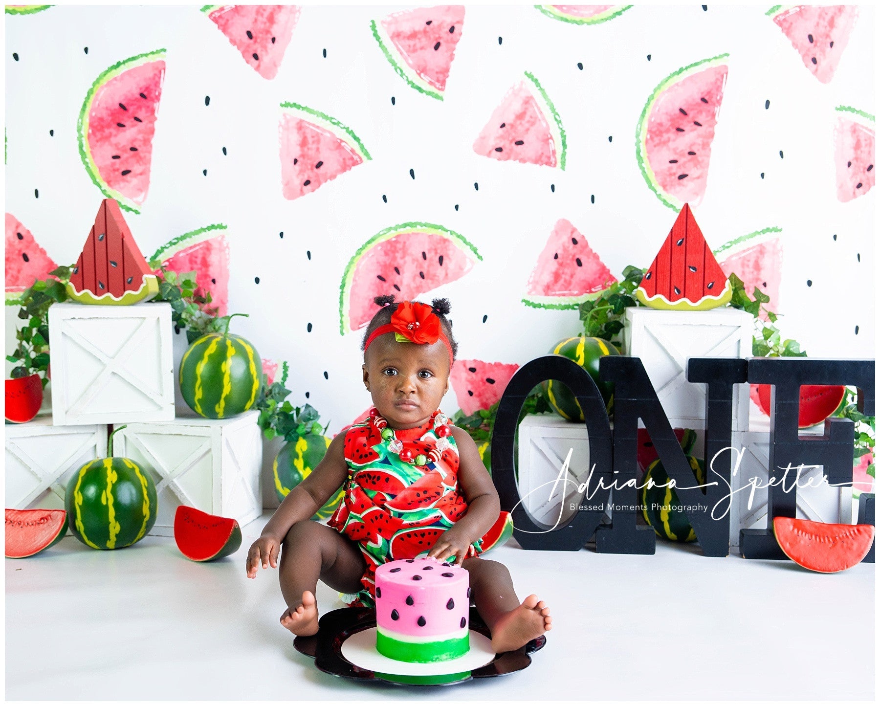 Cake Smash Hintergrund Wassermelonenmuster Sommer Geburtstag Hintergrund MRR10-19