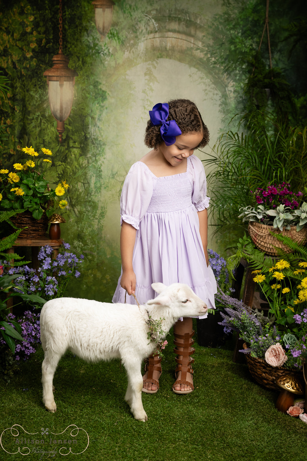 Zauberwald-Fotohintergrund Magischer Nebelbogen Laternen Wald-Fotohintergrund MRR9-94