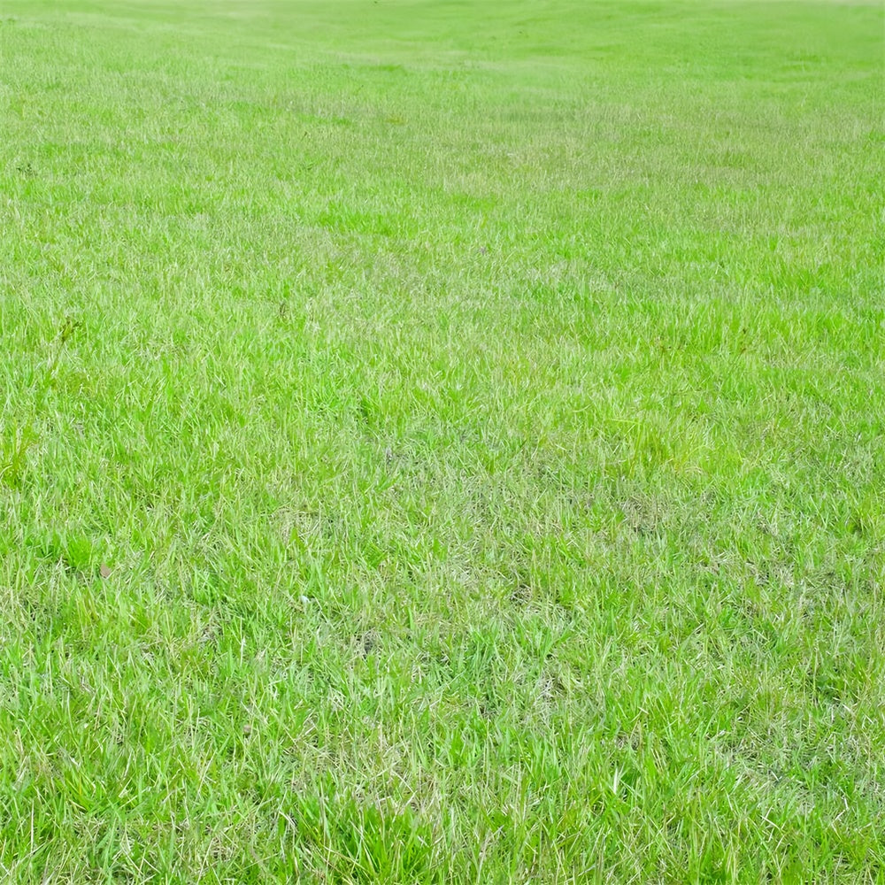 Fotohintergrund Boden Lebendiges Grünes Grasfeld Bodenhintergrund BRP1-527