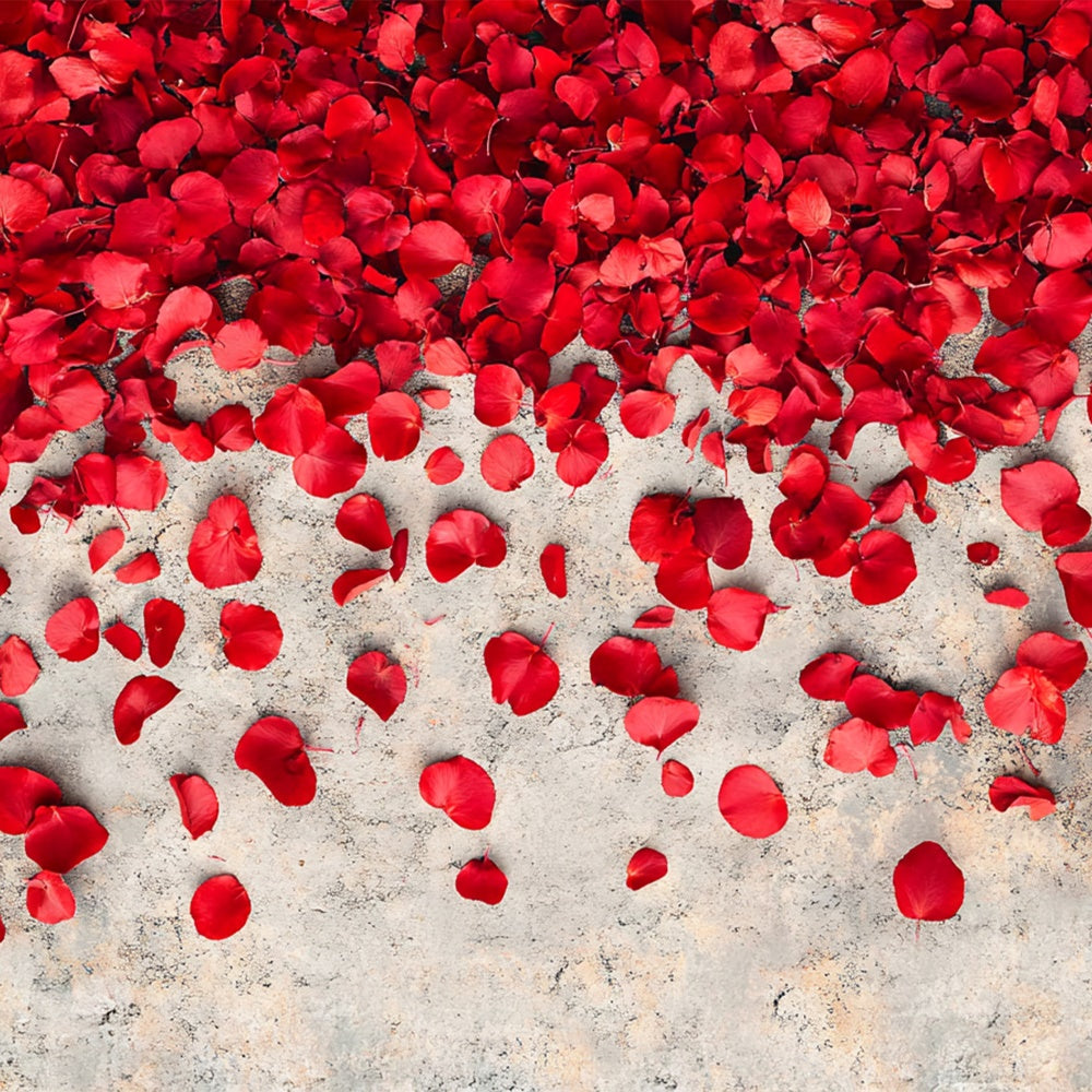 Fotografie Boden Backdrops Rosenblüten Betonboden Backdrop BRP1-553