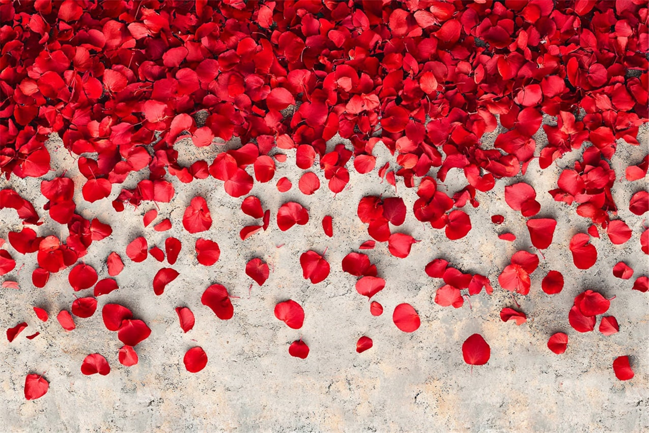 Fotografie Boden Backdrops Rosenblüten Betonboden Backdrop BRP1-553