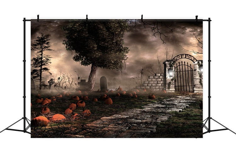 Halloween Hintergrund Fotografie Spooky Graveyard Kürbisse Nebel Hintergrund BRP10-174