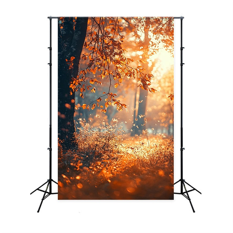 Herbst Saison Hintergrund Sonnenstrahlen Bäume Fotohintergrund BRP10-265