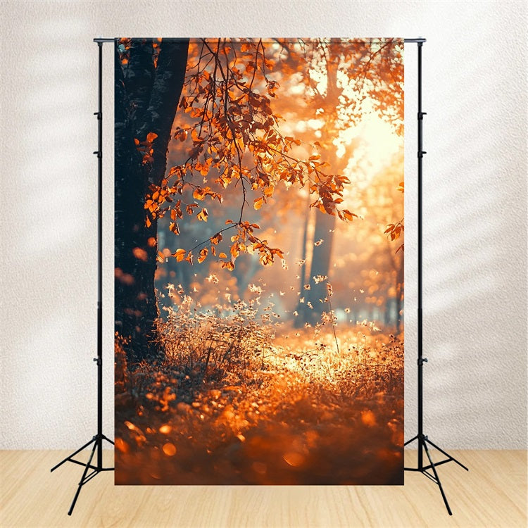 Herbst Saison Hintergrund Sonnenstrahlen Bäume Fotohintergrund BRP10-265