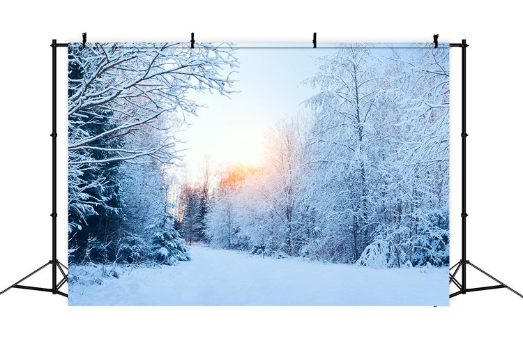 Winter Wonderland Verschneite Landschaft Sonnenlicht Hintergrund BRP11-1