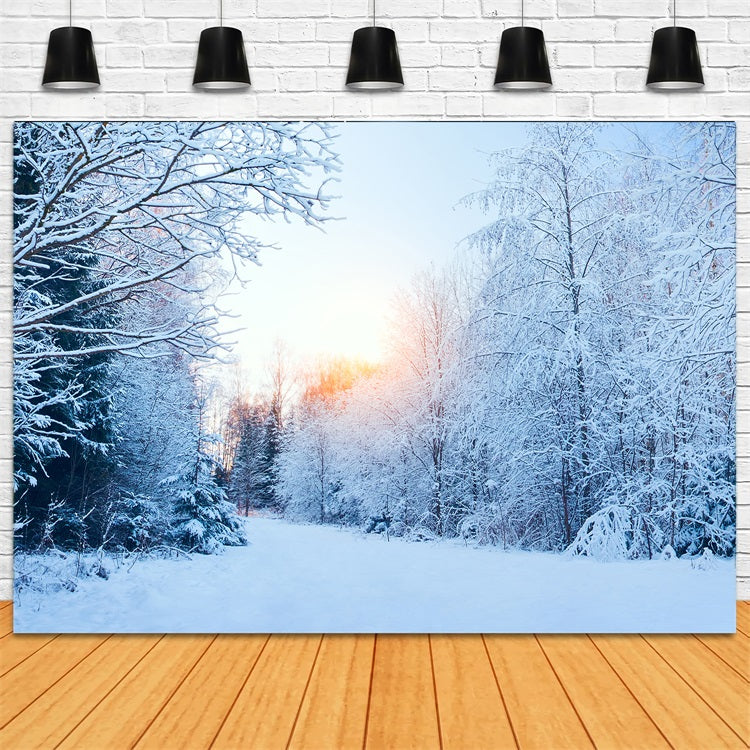Winter Wonderland Verschneite Landschaft Sonnenlicht Hintergrund BRP11-1