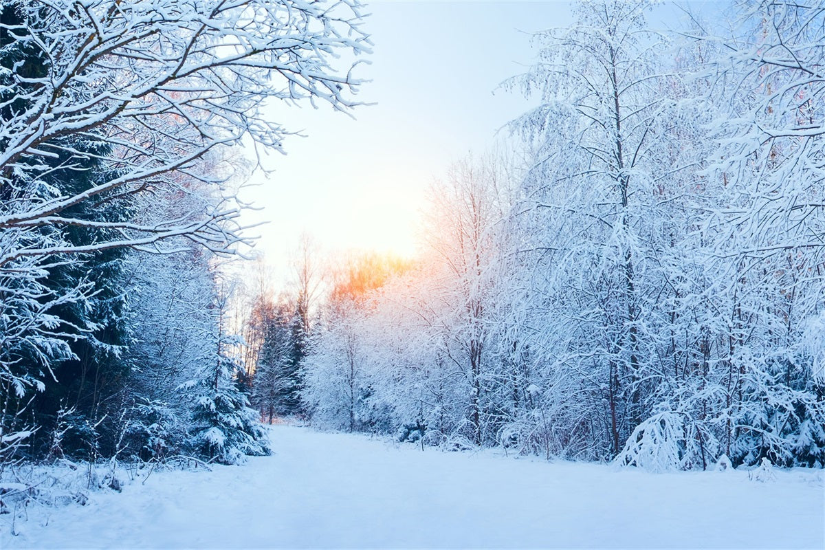 Winter Wonderland Verschneite Landschaft Sonnenlicht Hintergrund BRP11-1