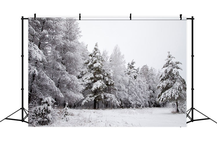 Winter Hintergrund Verschneite Landschaft Eisige Zweige Hintergrund BRP11-4