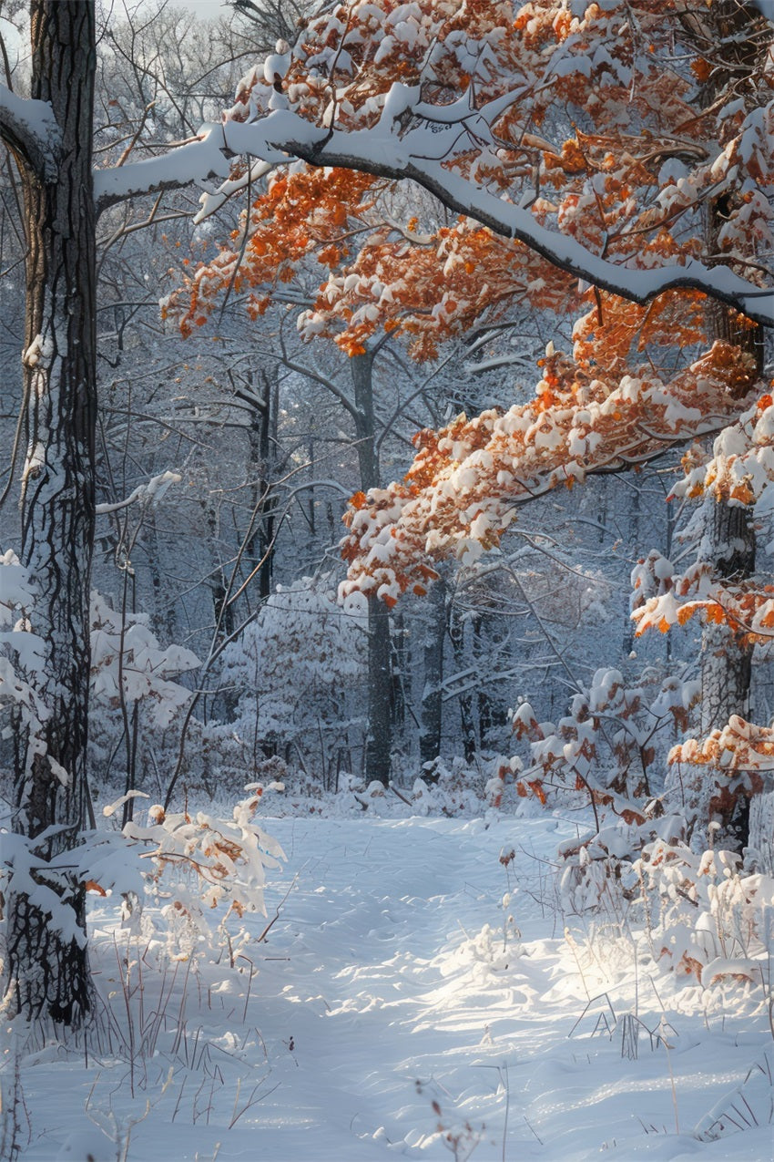 Winterszene Hintergrund Orange Blätter Schnee Hintergrund BRP11-66