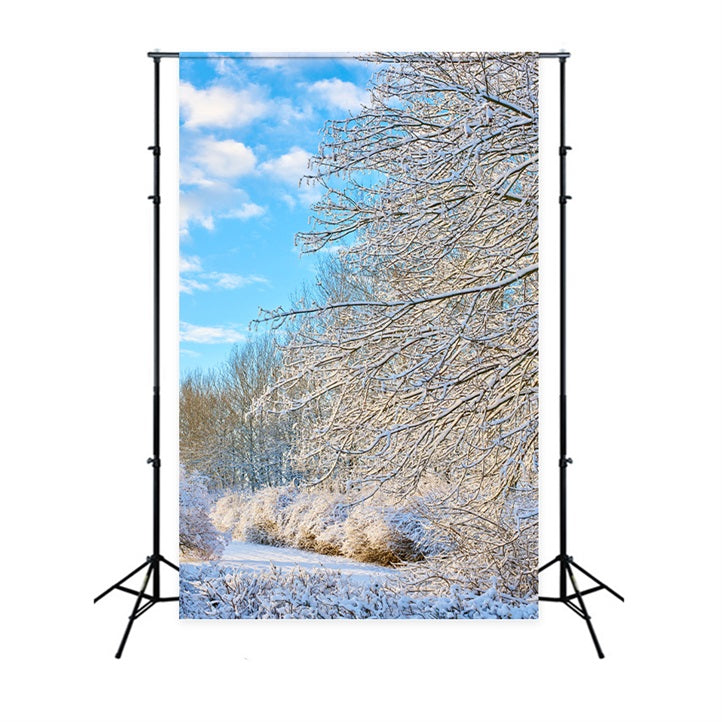 Winter Hintergrund Frostige Zweige Heller Himmel Hintergrund BRP11-68