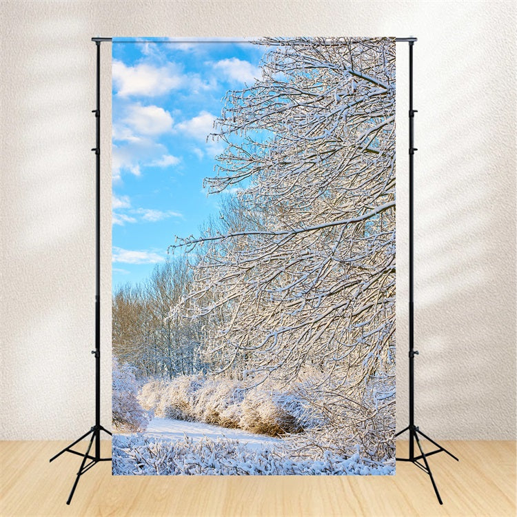 Winter Hintergrund Frostige Zweige Heller Himmel Hintergrund BRP11-68