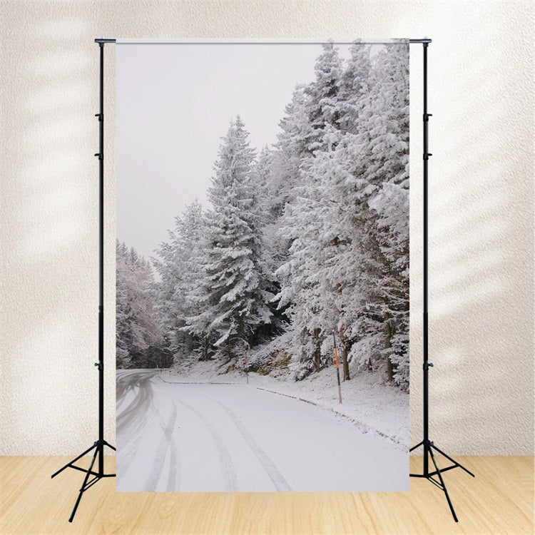 Winter Wonderland Hintergrund Pathway Snow-Capped Pines Hintergrund BRP11-69